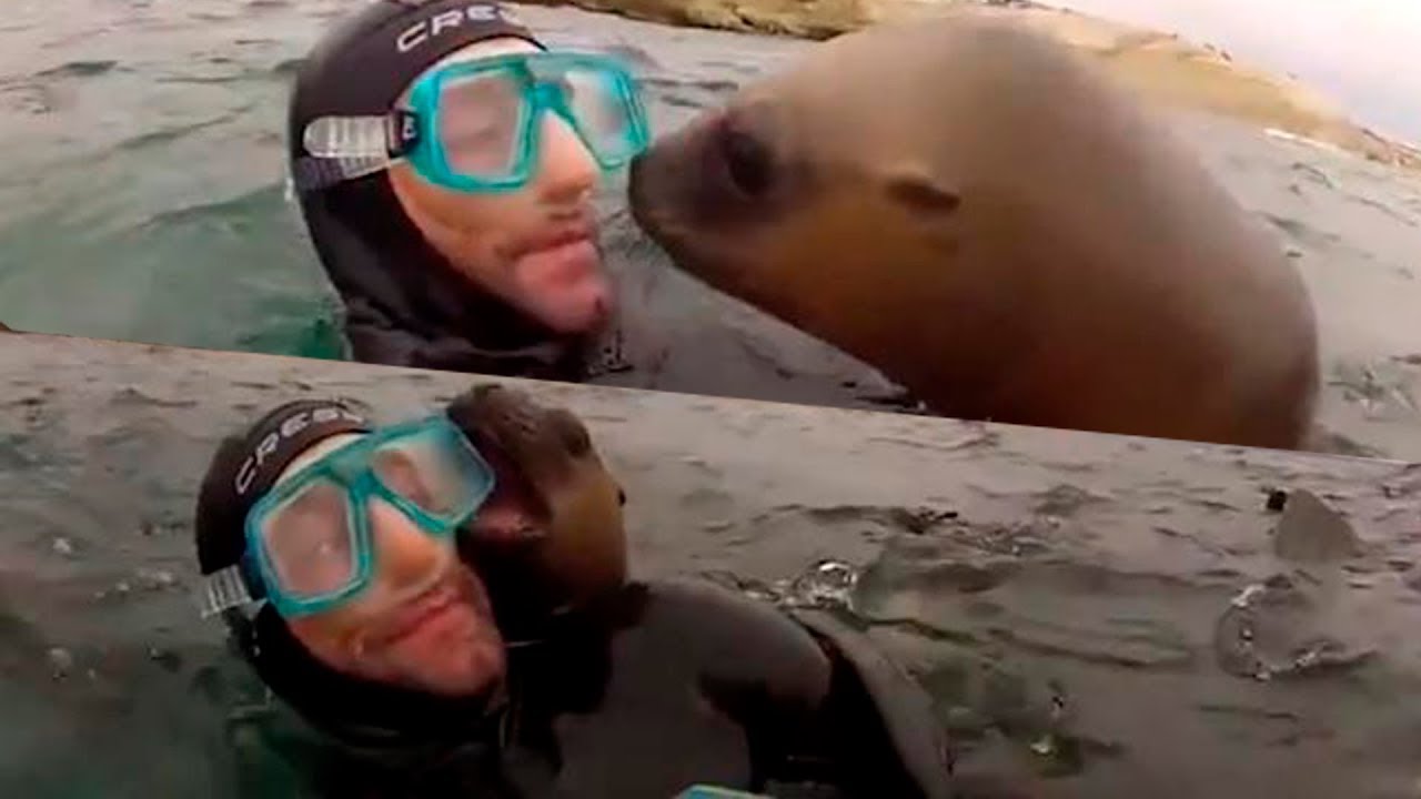 IF IT WERE NOT FILMED, NO ONE WOULD BELIEVE IT 💥🤔😱 AMAZING UNEXPECTED MOMENTS (★7)