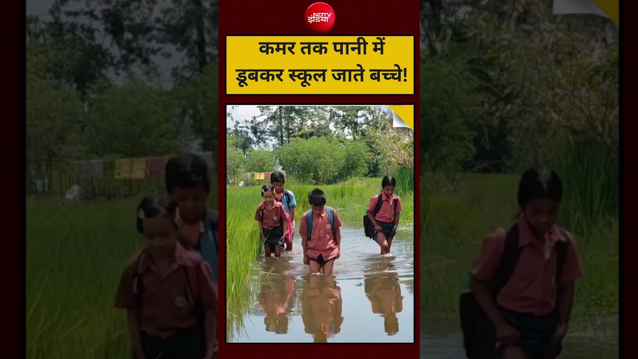 कमर तक पानी में डूबकर स्कूल जाते बच्चे! #AssamNews #Dhemaji #GovernmentSchool #Education