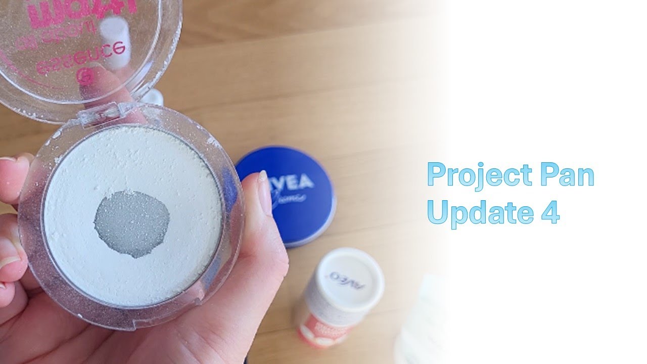 Project Pan Update #4