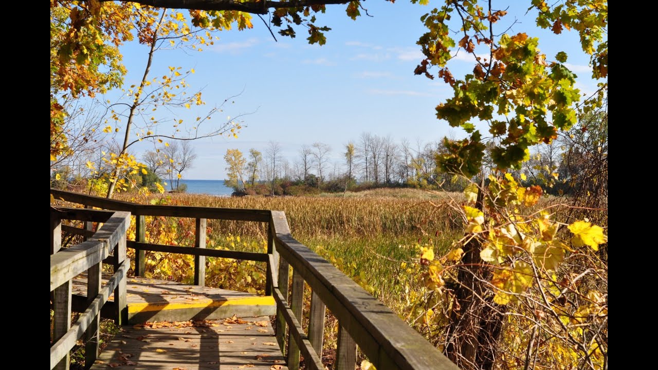 Top Tourist Attractions in Mississauga (Ontario) - Travel Guide
