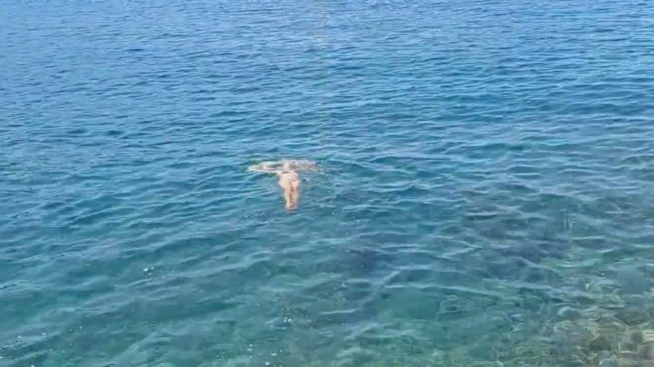 Hladna uvala  Busat Montenegro
