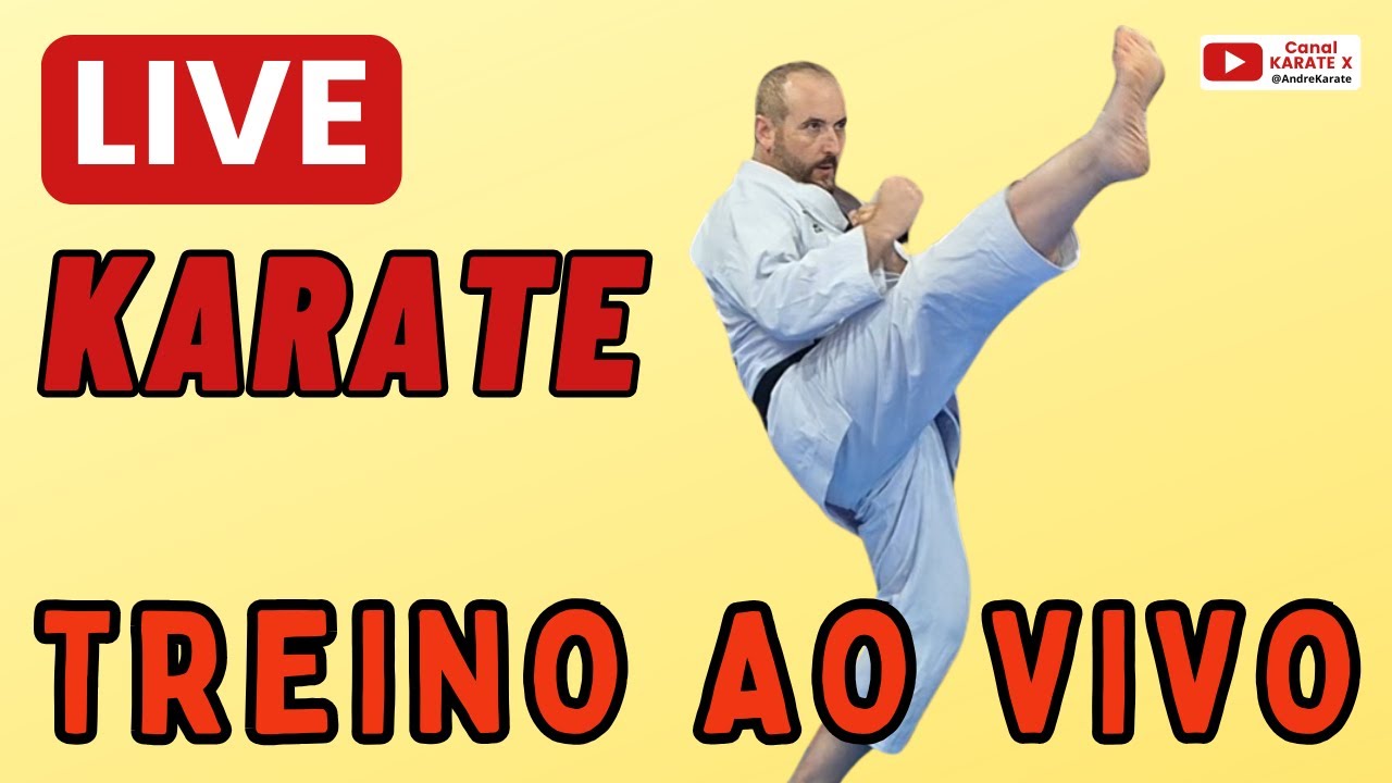AULA DE KARATE - Treino ao vivo de t&eacute;cnicas b&aacute;sicas