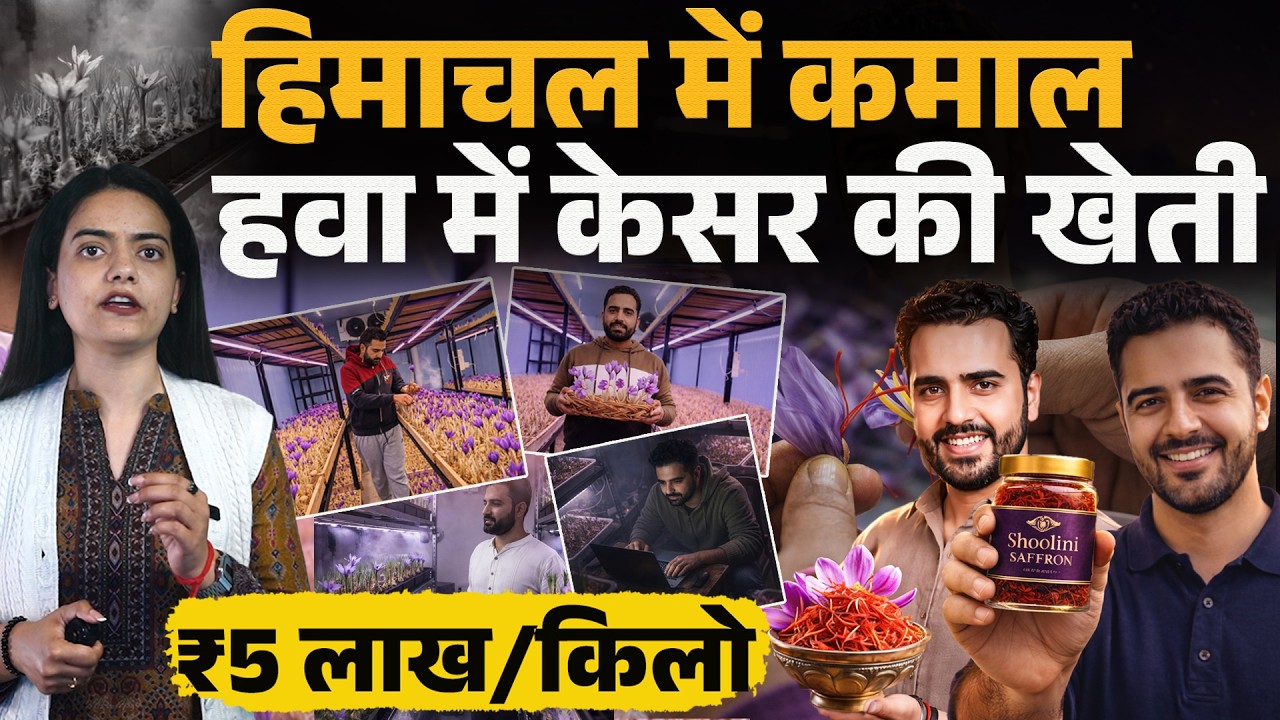 Himachal : हवा में उगाया केसर, खेती सफल, 5 लाख का एक किलो बेच रहे, 1 कमरे से कमाई.