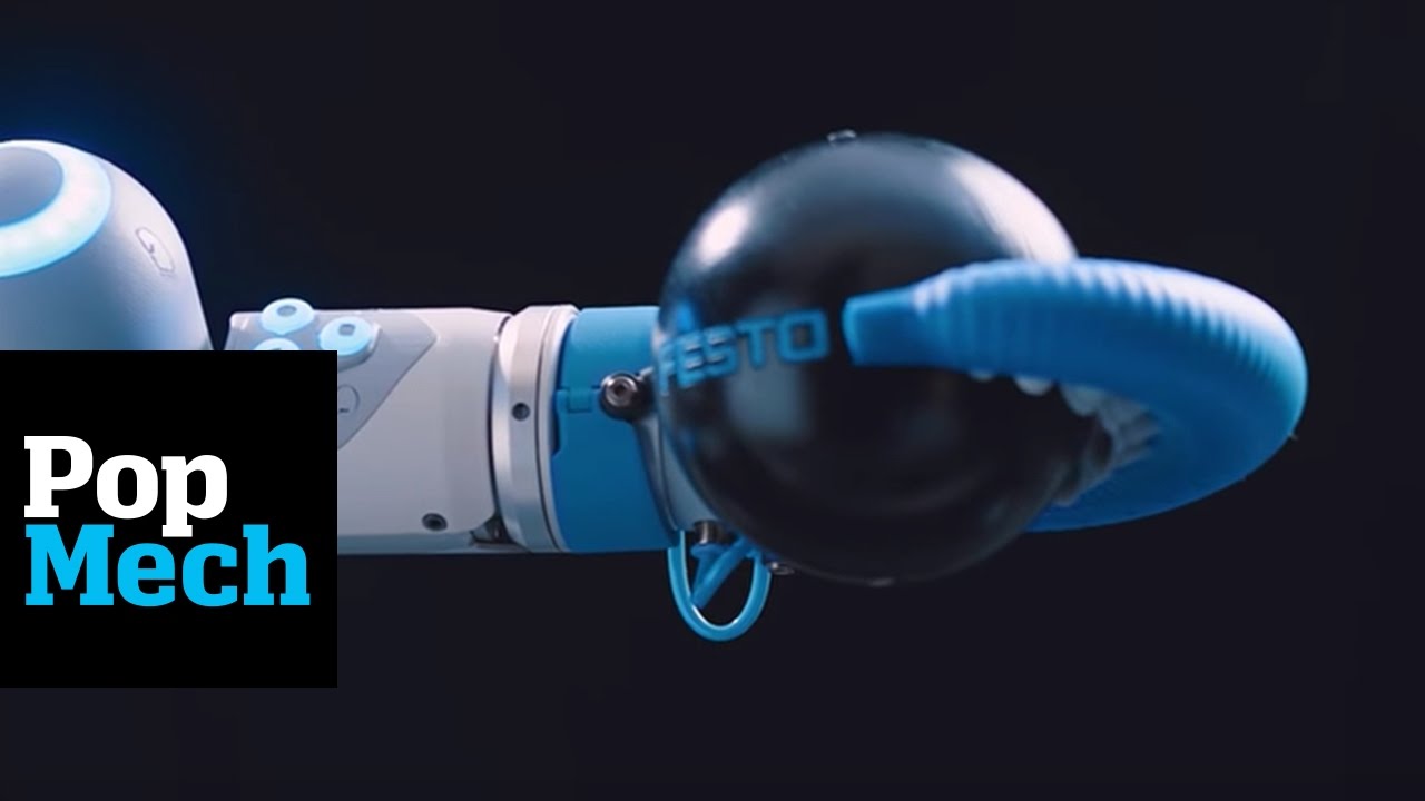 This Mechanical Arm is Inspired By an Octopus and It&rsquo;s Awesome | PopMech