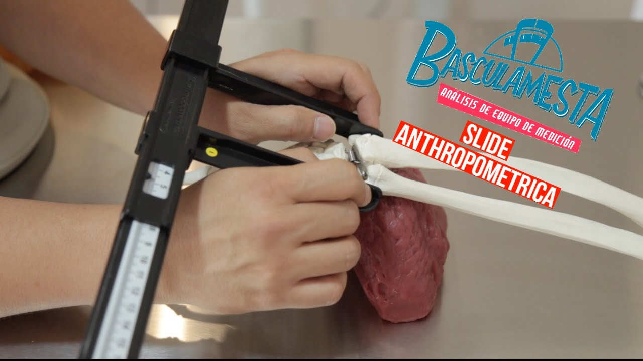 Basculamesta: Antropómetro Slide de Anthropometrica