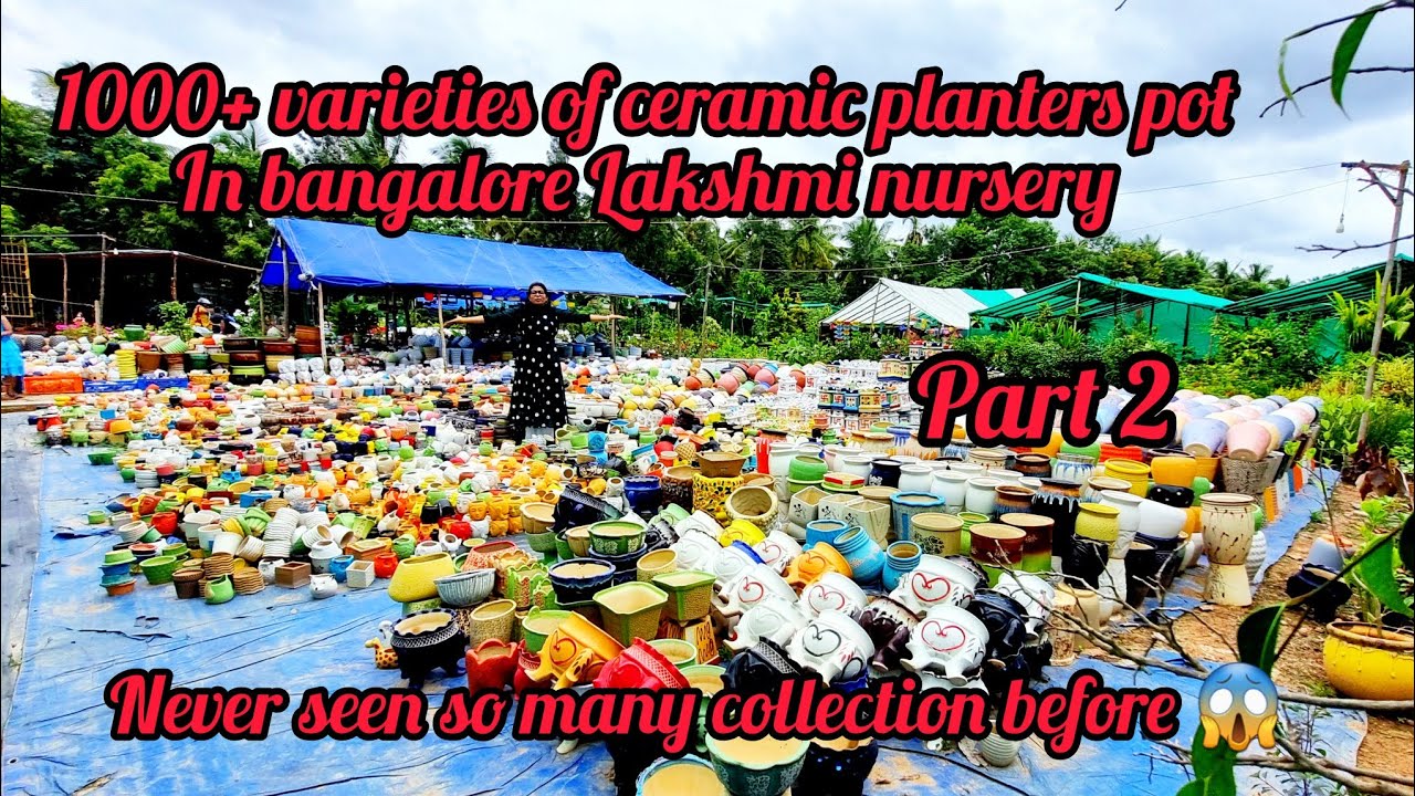 Lakshmi Nursery 1000+ ceramic pots market in bangalore with price