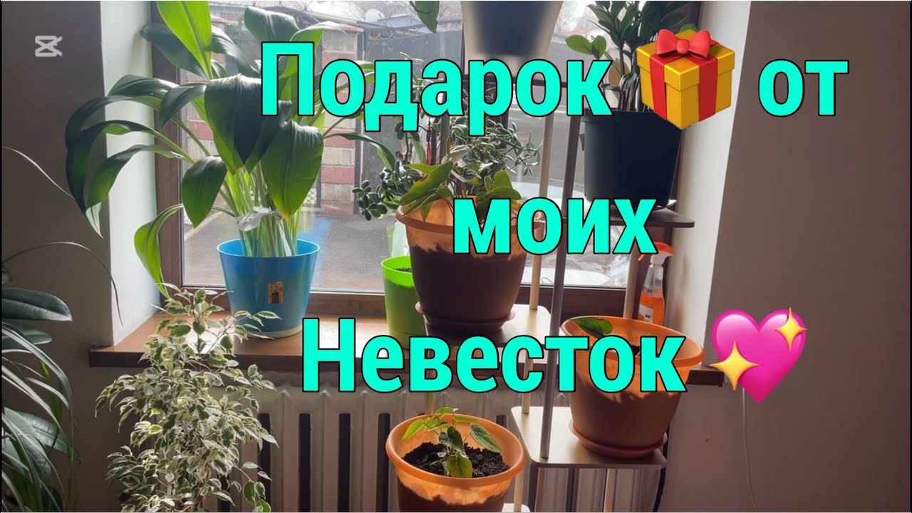Расстроилась ,подруга заболела 😔 поэтому не захотела печь торт . Получила подарок 🎁 от Тонечки ♥️