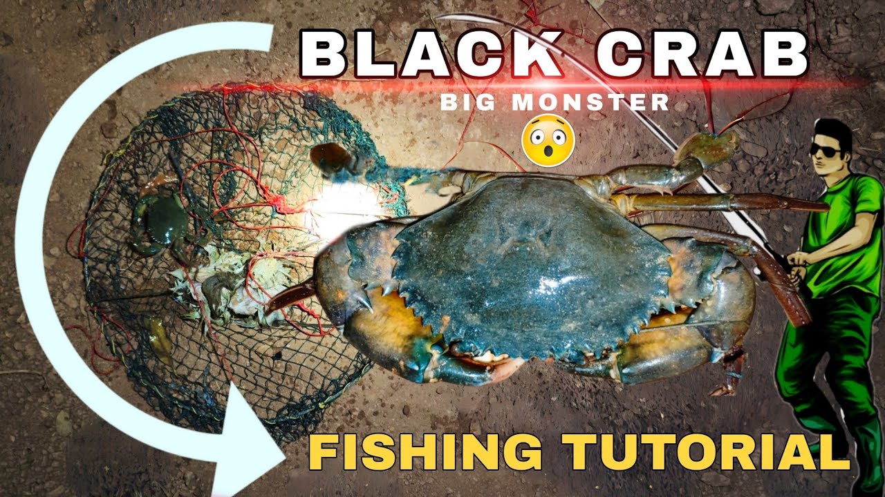 BLACK CRAB 🦀 FISHING TUTORIAL ✅ 