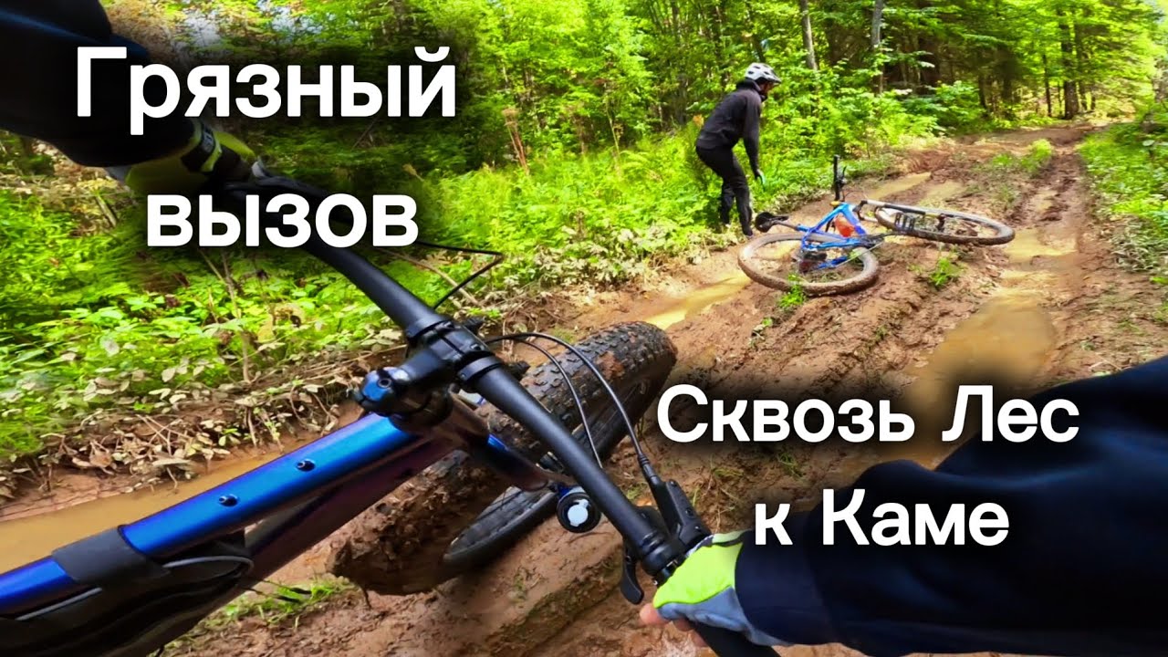 Бросили вызов бездорожью. Сквозь лес к берегу реки Кама.