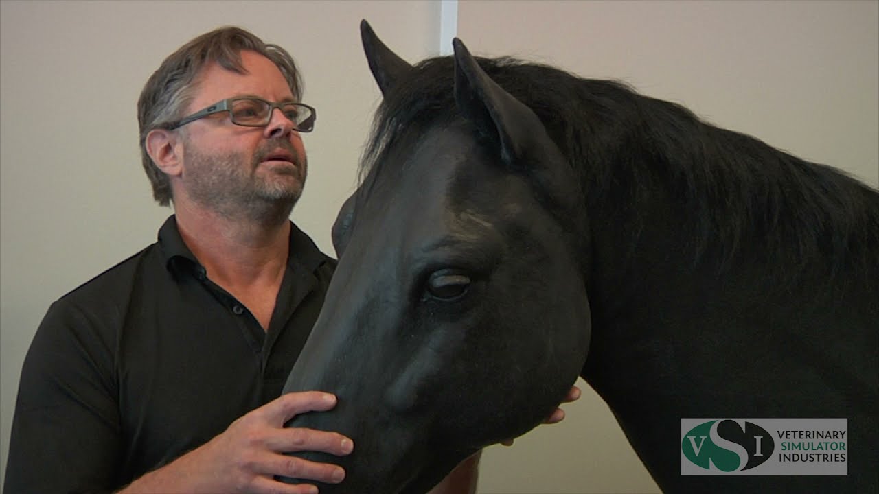 VSI Equine Colic and Palpation Simulator - Equine Neck Venipuncture
