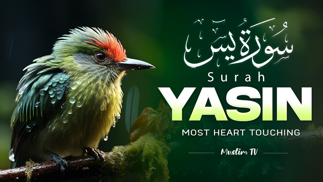 Surah Yaseen (سورة يس) | Soft & Beautiful Quran Recitation to Soothe the Heart and Mind #yasin