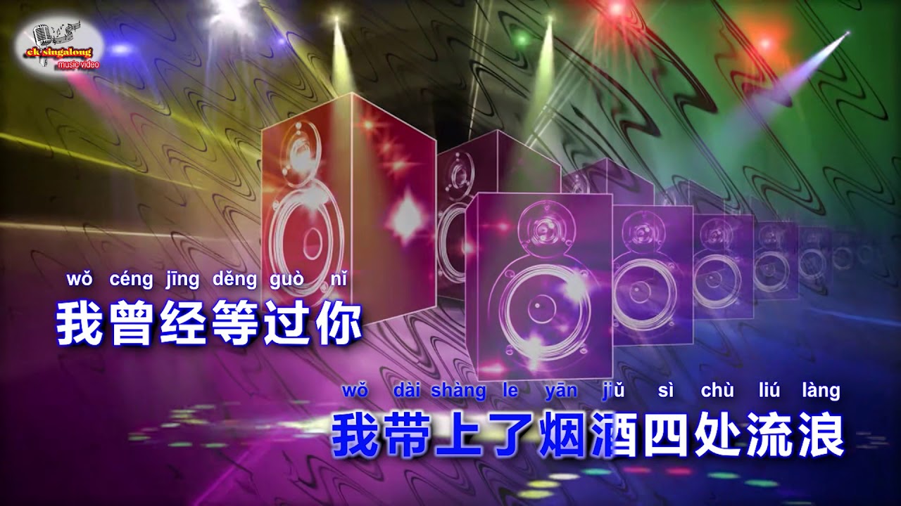 海来阿木 - 你的万水千山 - DJ版 REMIX - Singalong music video
