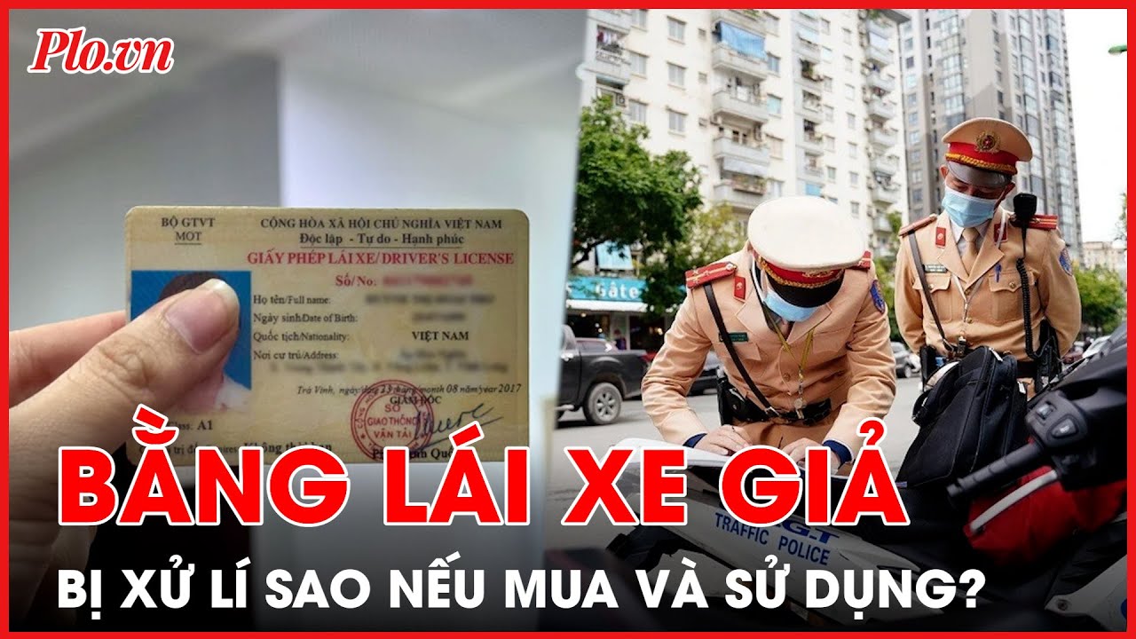 Mua và sử dụng bằng lái xe giả bị xử lý sao? - PLO