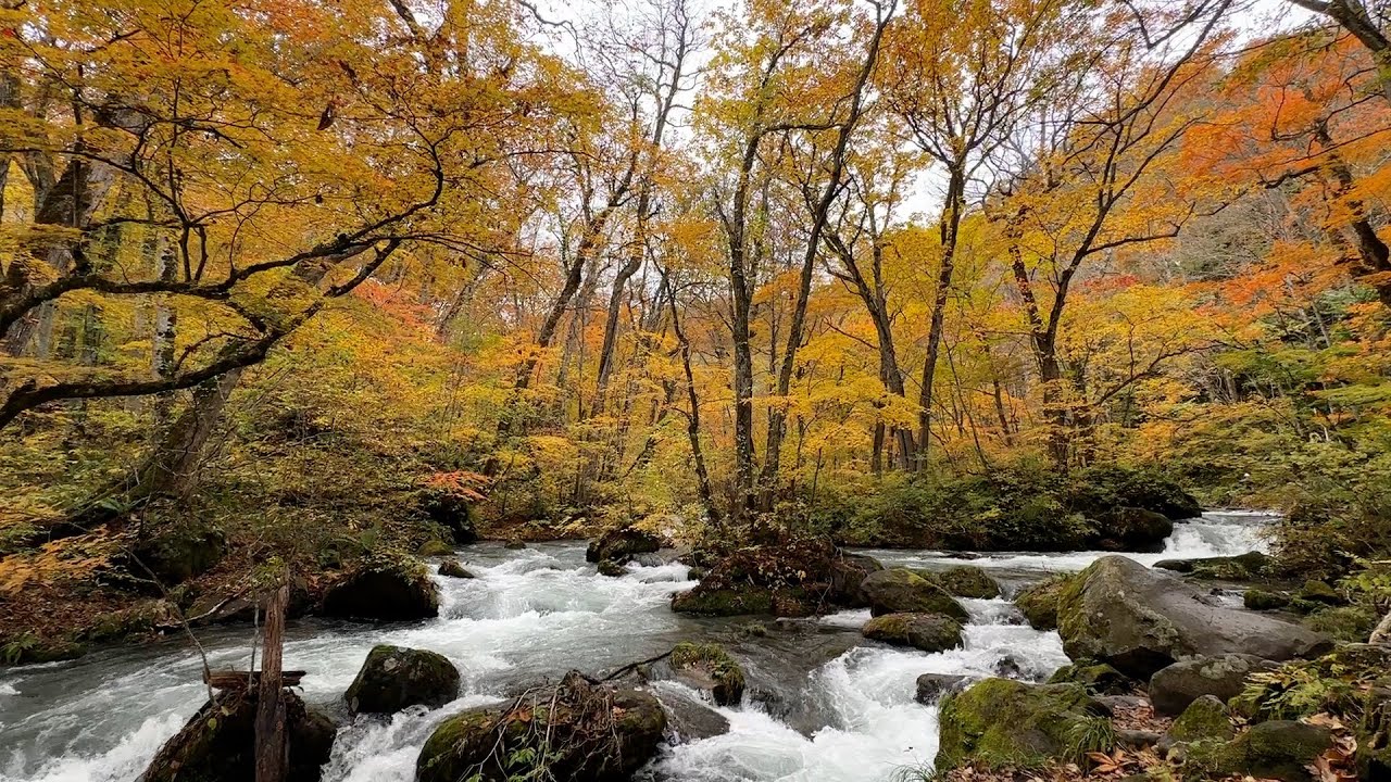 Autumn in Oirase Gorge: A Stunning Trail of Waterfalls and Autumn Colors