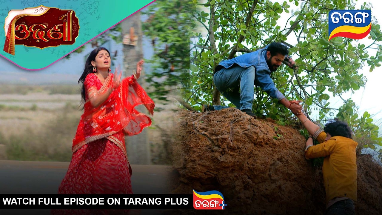 Odhani | Ep - 287 | Best Scene | 27th Feb 2026 | Odia Serial | Tarang Tv | Tarang Plus