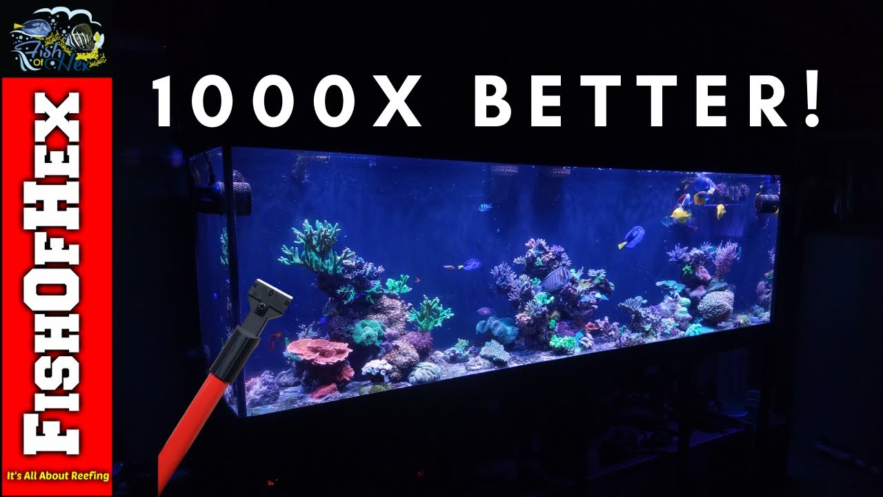 Cleaning The 300 Gallon Reef Back Glass After Two Years