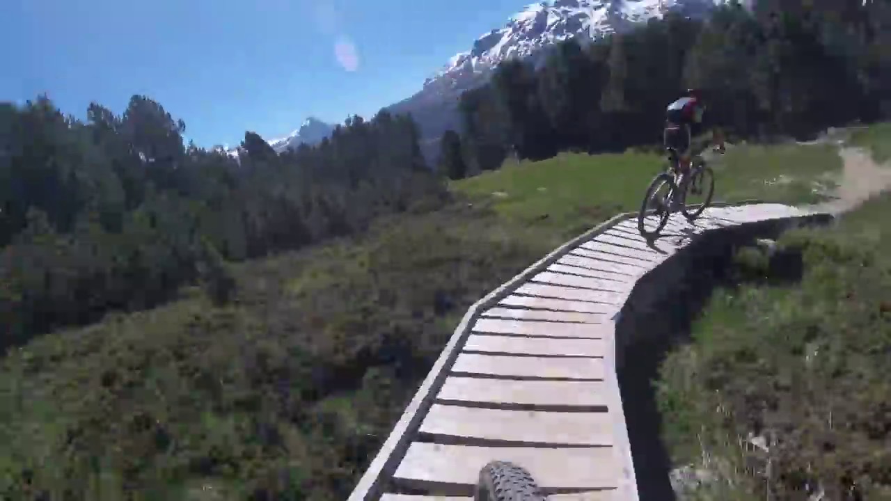 Downhill/MTB una marmotta ci taglia la strada vicino a St-Moritz