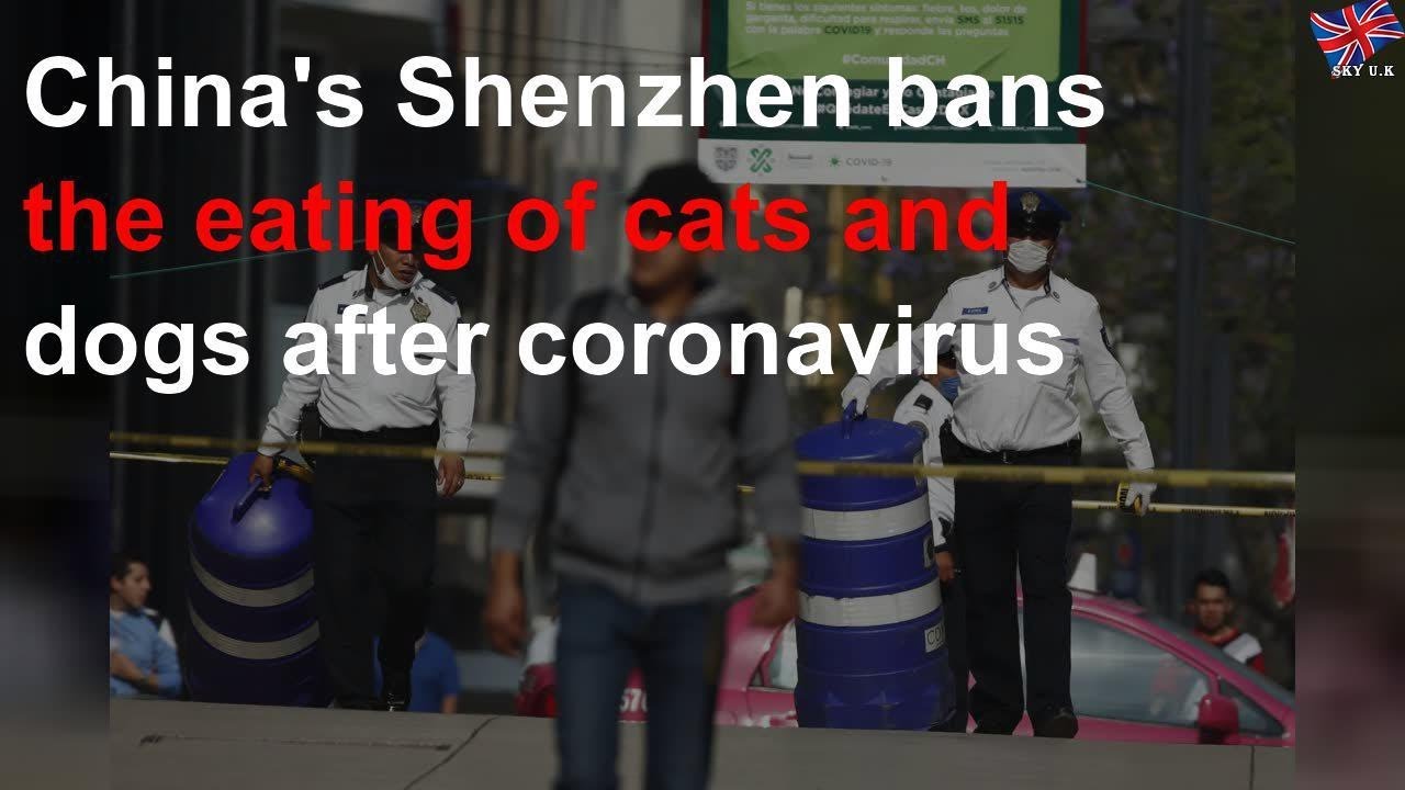 Chinese city bans eating dogs and cats in response to coronavirus