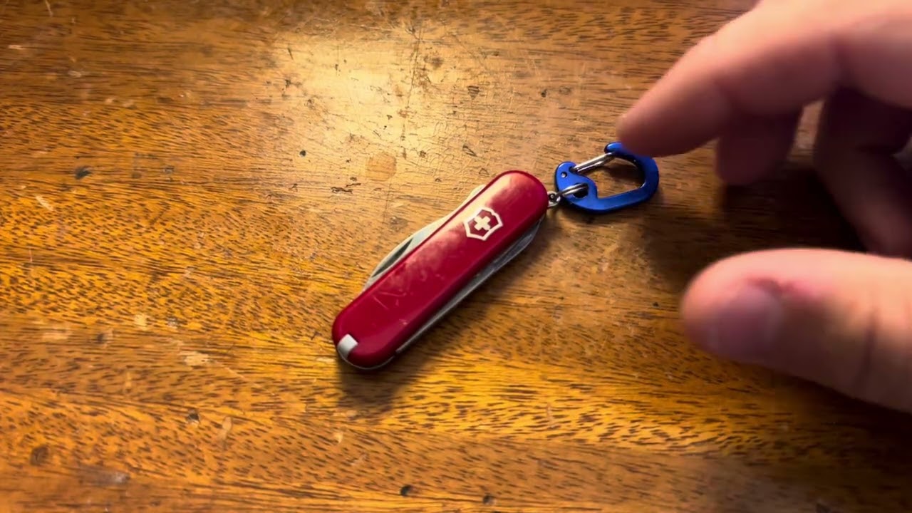 My Victorinox Jetsetter was allowed into major theme park!!