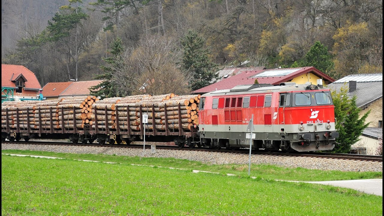 ÖBB 2143.030-1 Holzverkehr im Triestingtal 28.3.2019
