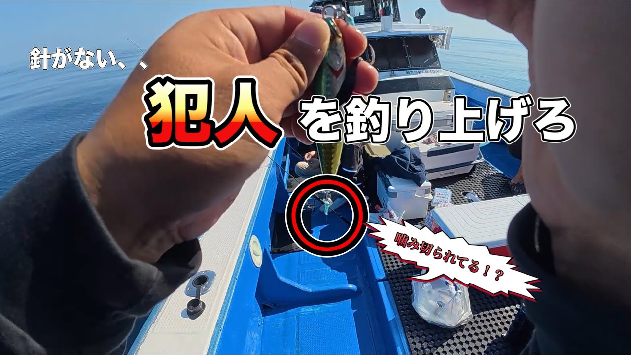 【凶暴】初心者が人生で一番デカい魚釣った日