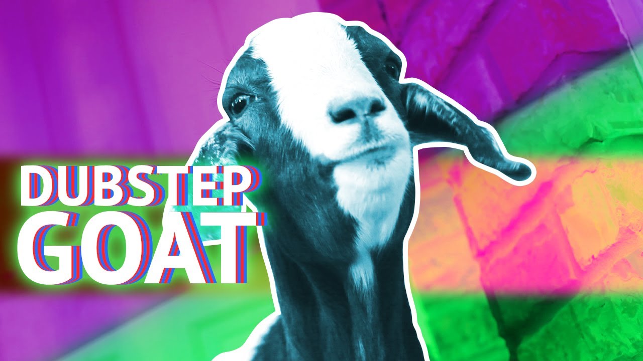 Dubstep EDM Goat
