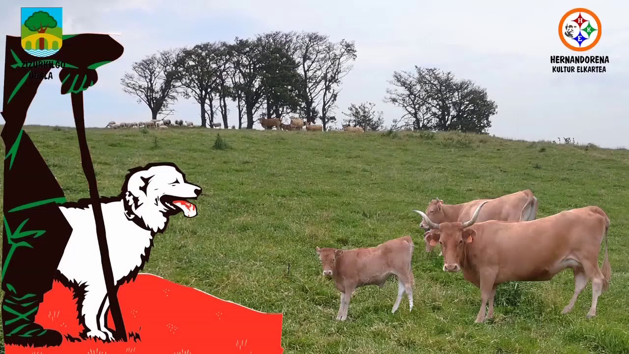 Zizurkilgo mugarriak