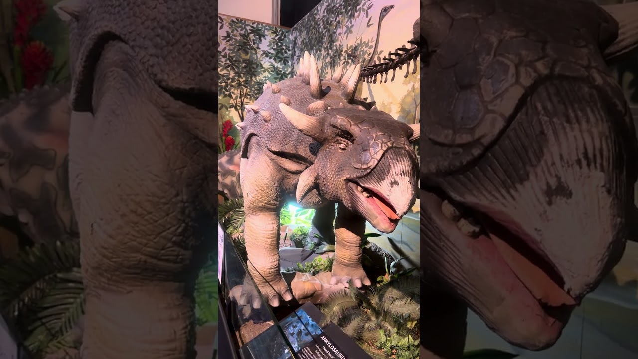Bảo tàng Dinosaur ở úc