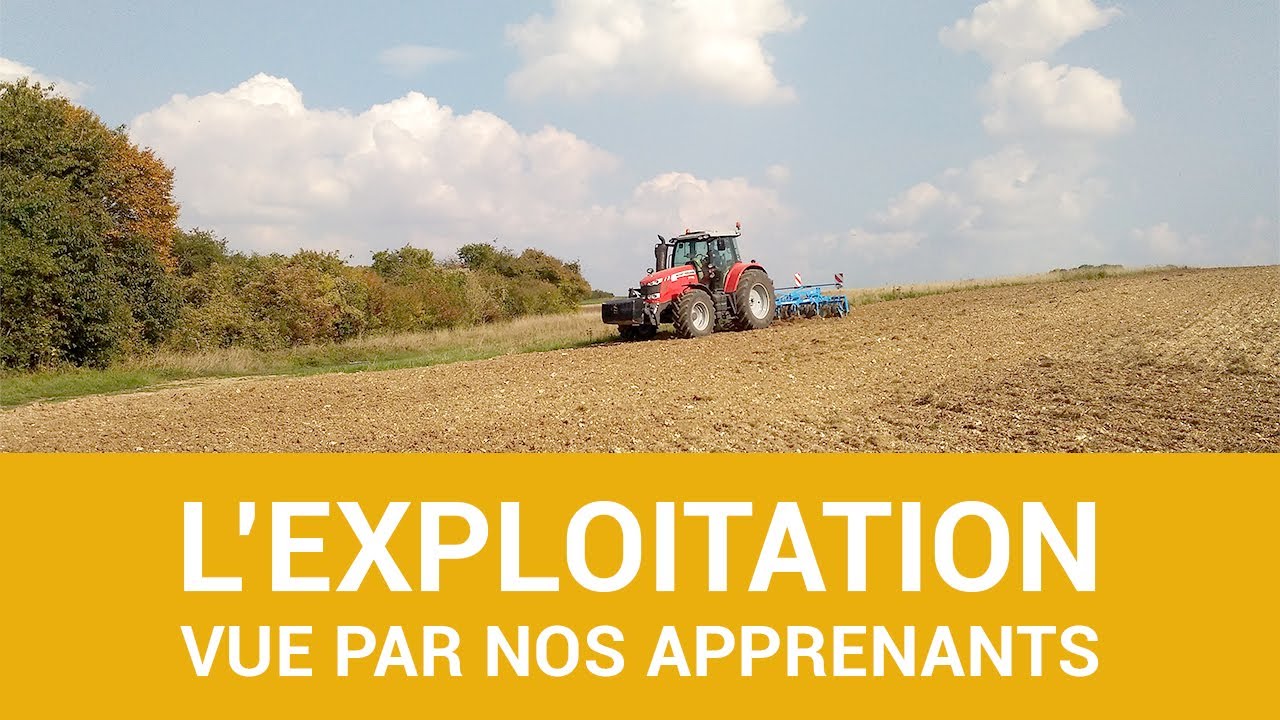 L'exploitation vue par nos apprenants !