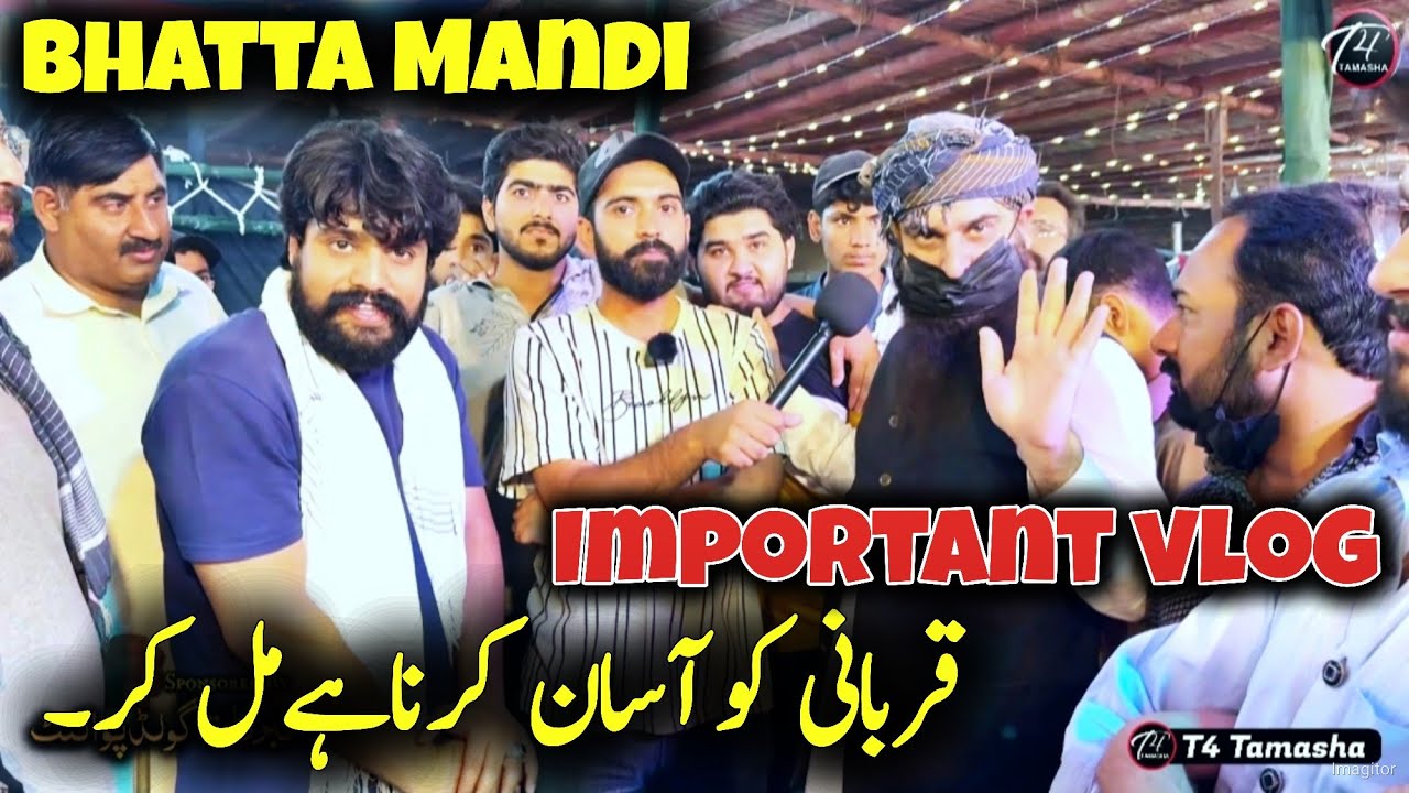 Qurbani ko Aasan krna hy 💕 Bhatta Mandi Last Night - Bakra Mandi 2024 - Fateh Jang bull 2024 - live
