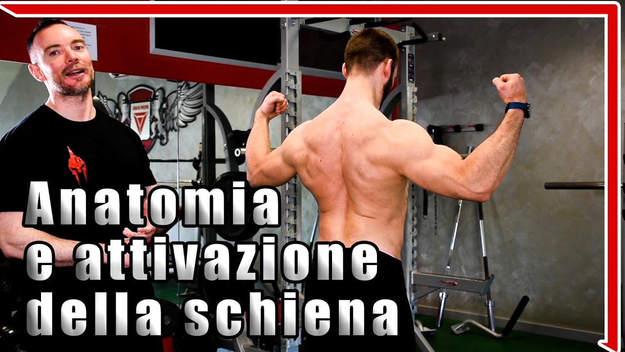 Allenare la schiena in palestra: anatomia funzionale ed esercizi di attivazione