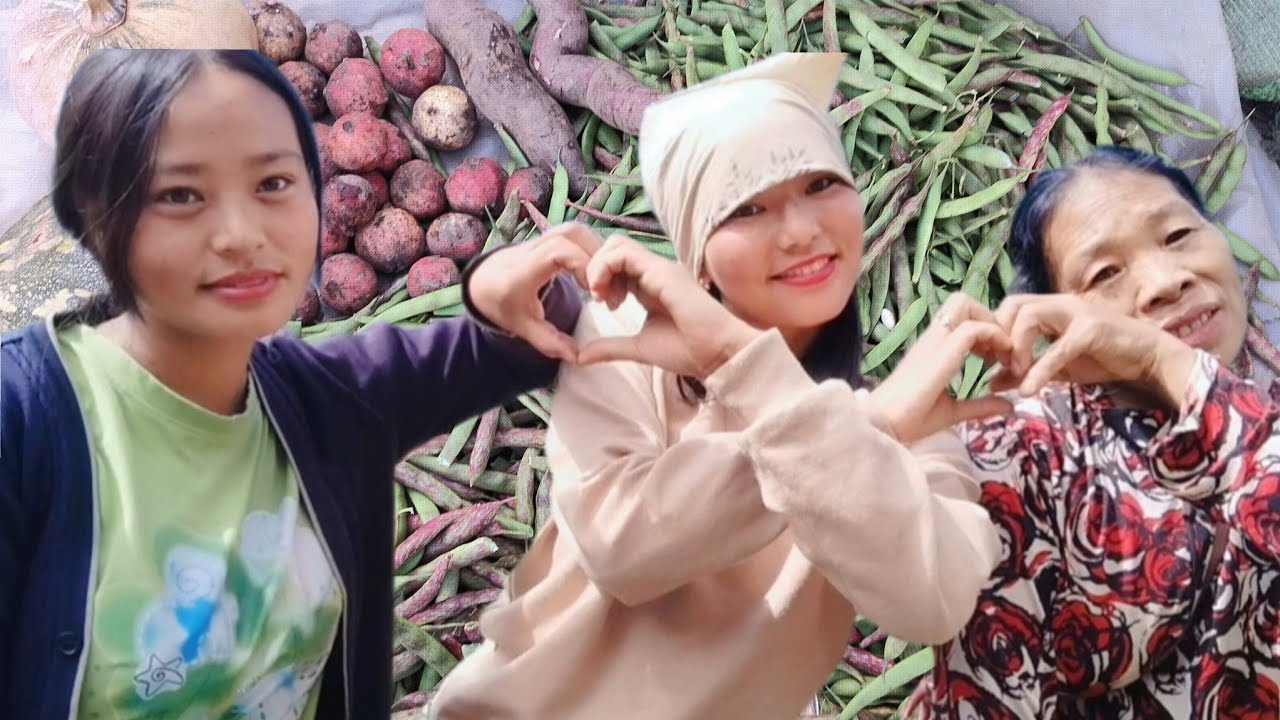 Collecting vegetables in the field