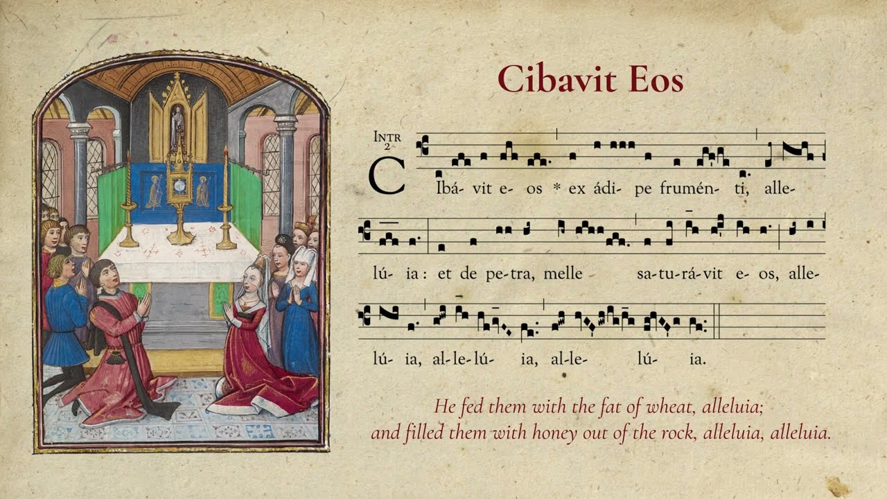 Cibavit Eos - Introit for the Feast of Corpus Christi - Gregorian Chant with English Translation