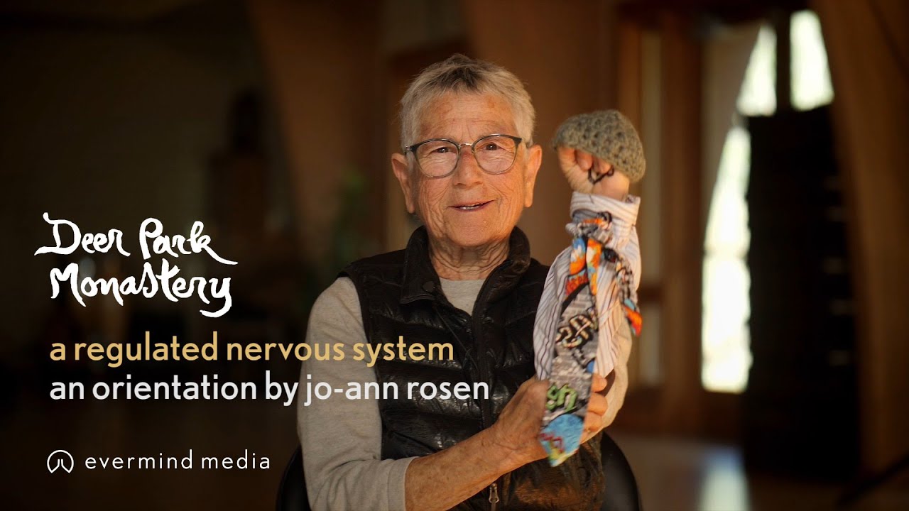 A Regulated Nervous System: An Orientation by Jo-Ann Rosen | #11