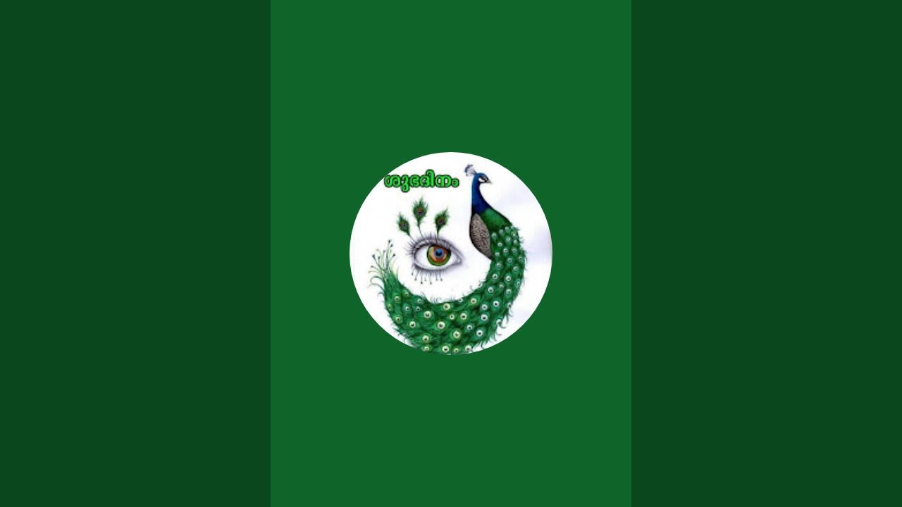 cats & dogs is live