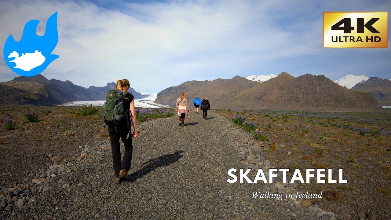 Skaftafell - Walking in Iceland [4K]