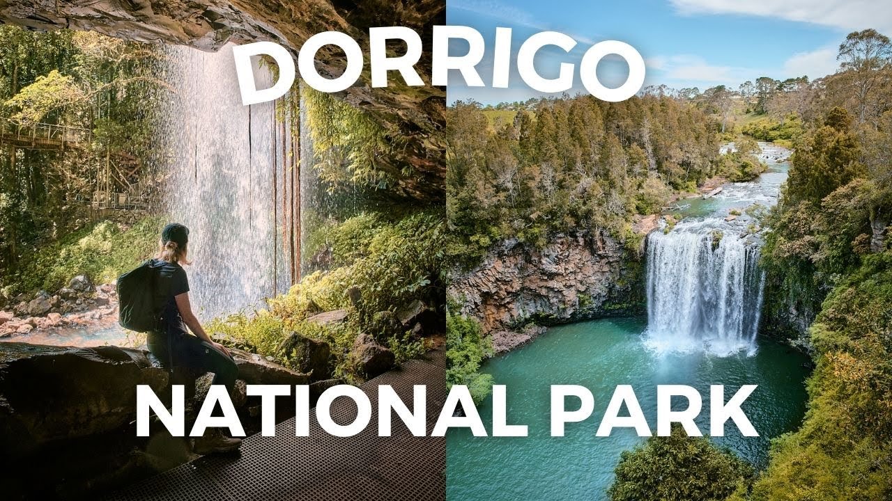 Chasing Waterfalls in Dorrigo National Park | Coffs Harbour Road Trip