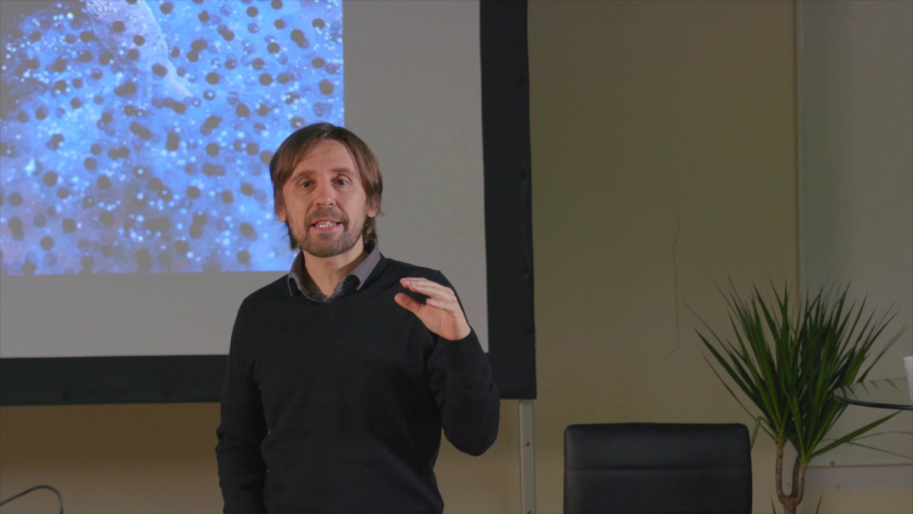 Promoting welfare biology as the study of wild animal suffering | Oscar Horta