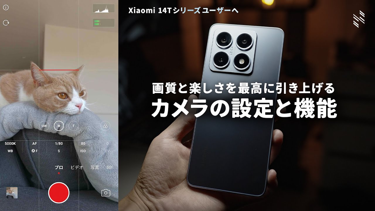 【Xiaomi 14Tシリーズのカメラ設定】画質と楽しさを最高にするオススメ設定と機能