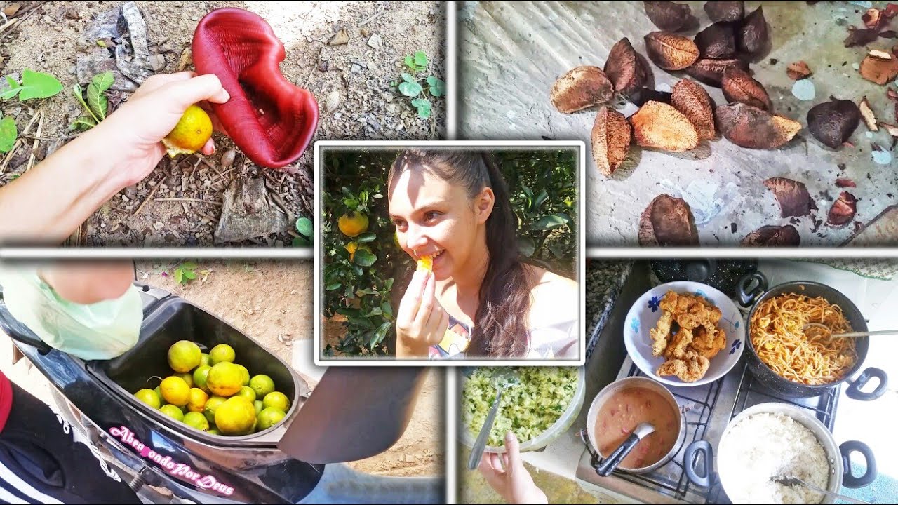 ROTINA da TARDE na RO&Ccedil;A 💛