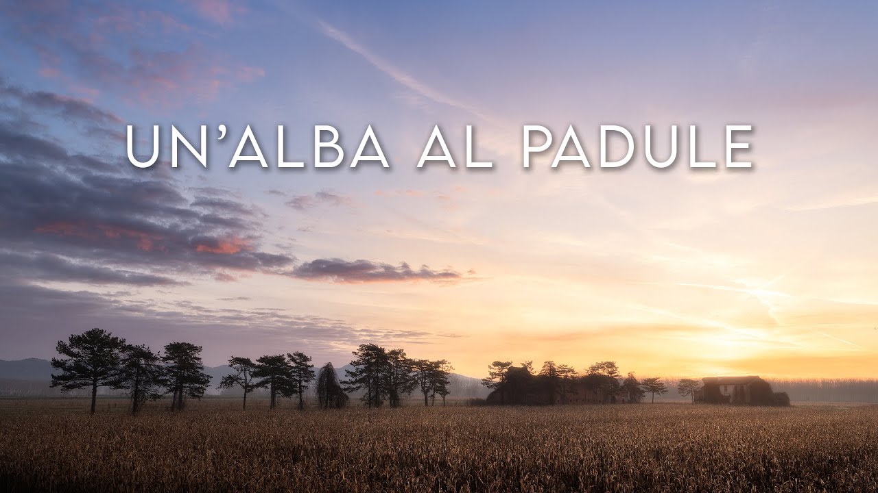 Il PADULE DI FUCECCHIO regala soddisfazioni ANCHE SENZ'ACQUA! | Vlog fotografia paesaggio