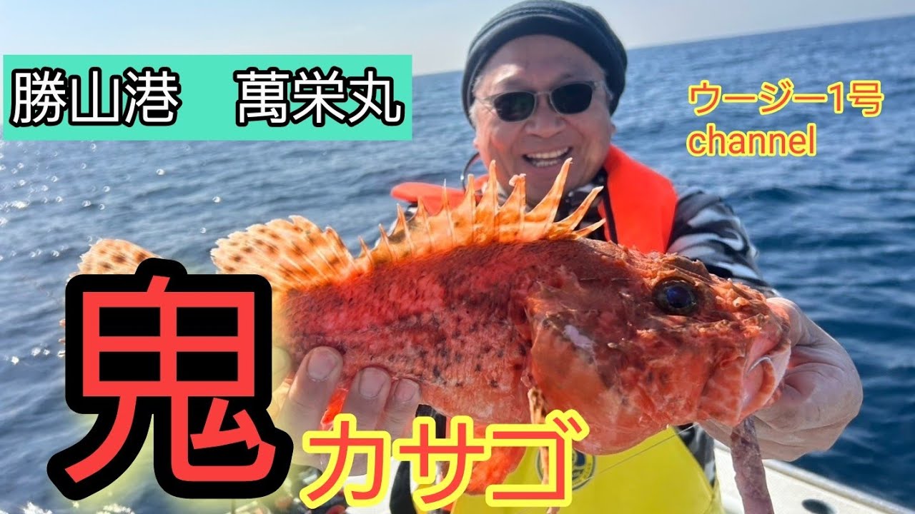 勝山港萬栄丸からオニカサゴ釣り(2026年2月)