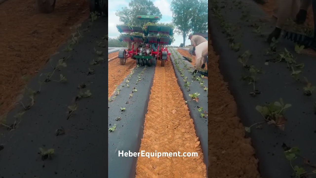 Plastic Mulch Transplanter 🌱