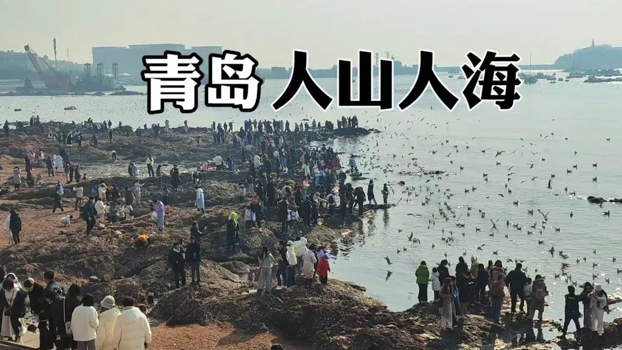 青島已經被外地人擠爆了！ 人山人海！ 這裡被評為中國最宜居的城市！ 你認同嗎？ 青島有膠州灣大橋，世界第二大跨海大橋。 青島也是青島啤酒的原產地