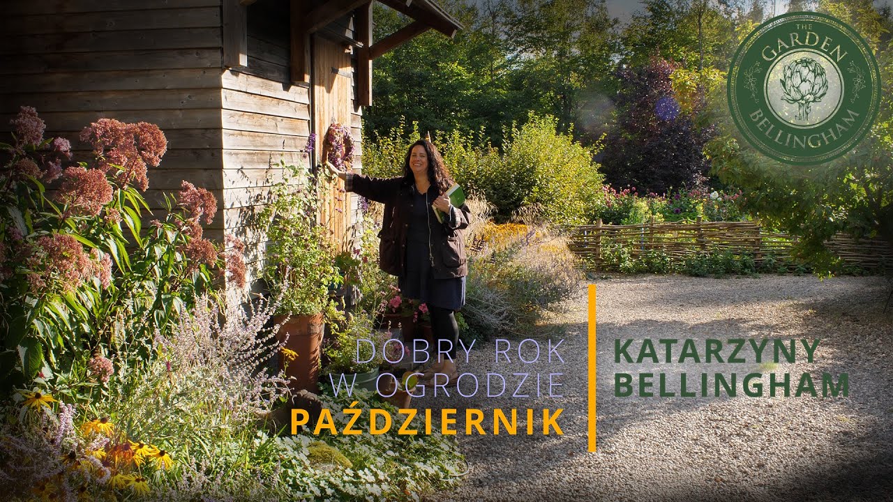 🌾 Jakie byliny kochają jesień 🍂 — co sadzić, by rabaty były piękne aż do mrozów?