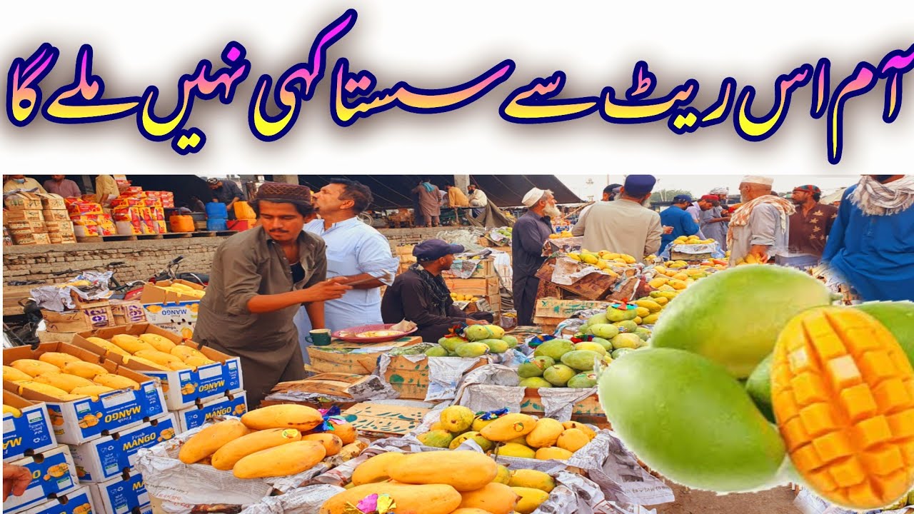 King of Fruits in Islamabad 🥭 Latest Mango Varieties, Price & Quality Review | Must Watch Mayar Vlog