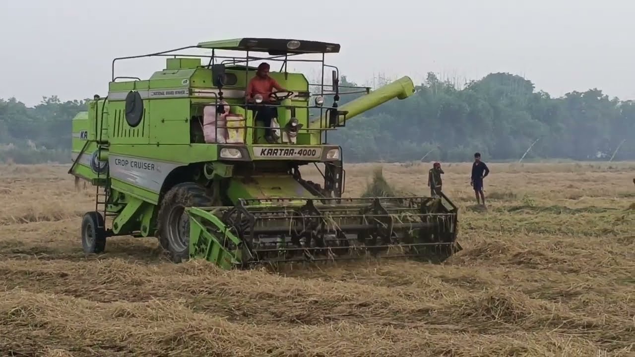 कैसे होता हैं हार्वेस्टर से धान कटाई How is paddy harvested using a harvester  