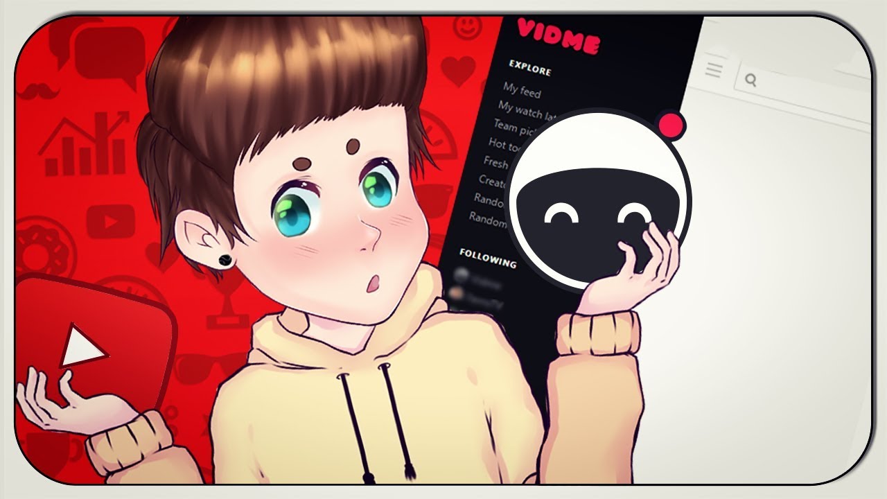 Meine MEINUNG zu Vidme..