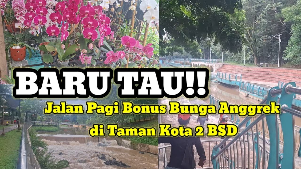 Suasana Jalan Pagi Taman Kota 2 BSD | Healing Murah di BSD | Hunting Bunga Anggrek