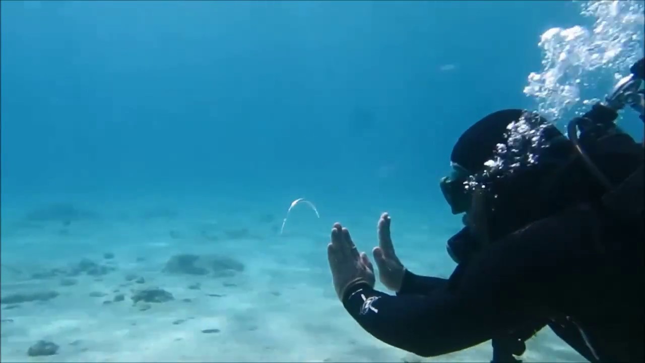 hookah smoke ring  trick - but underwater